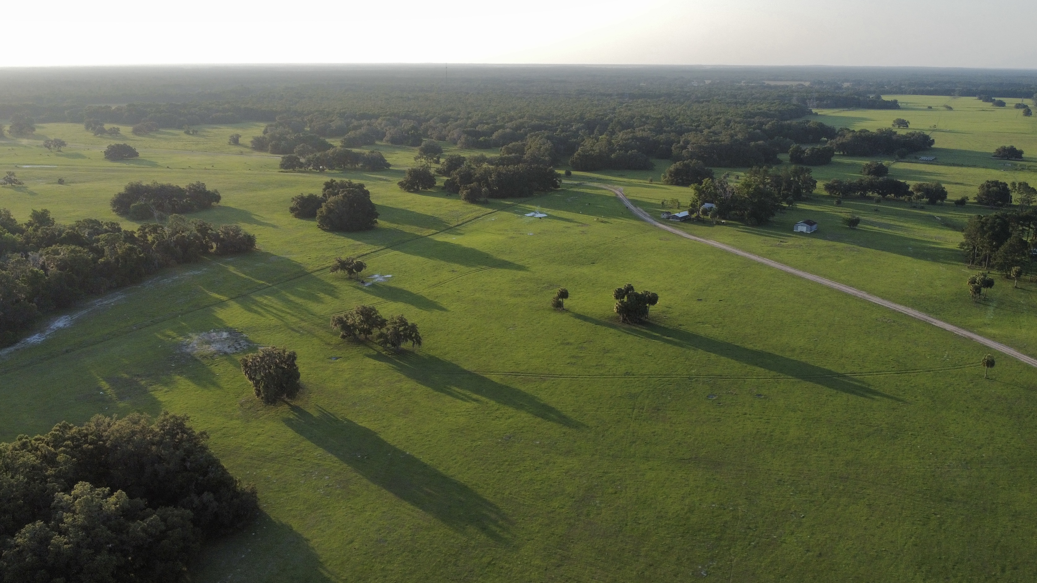 Central Florida Real Estate