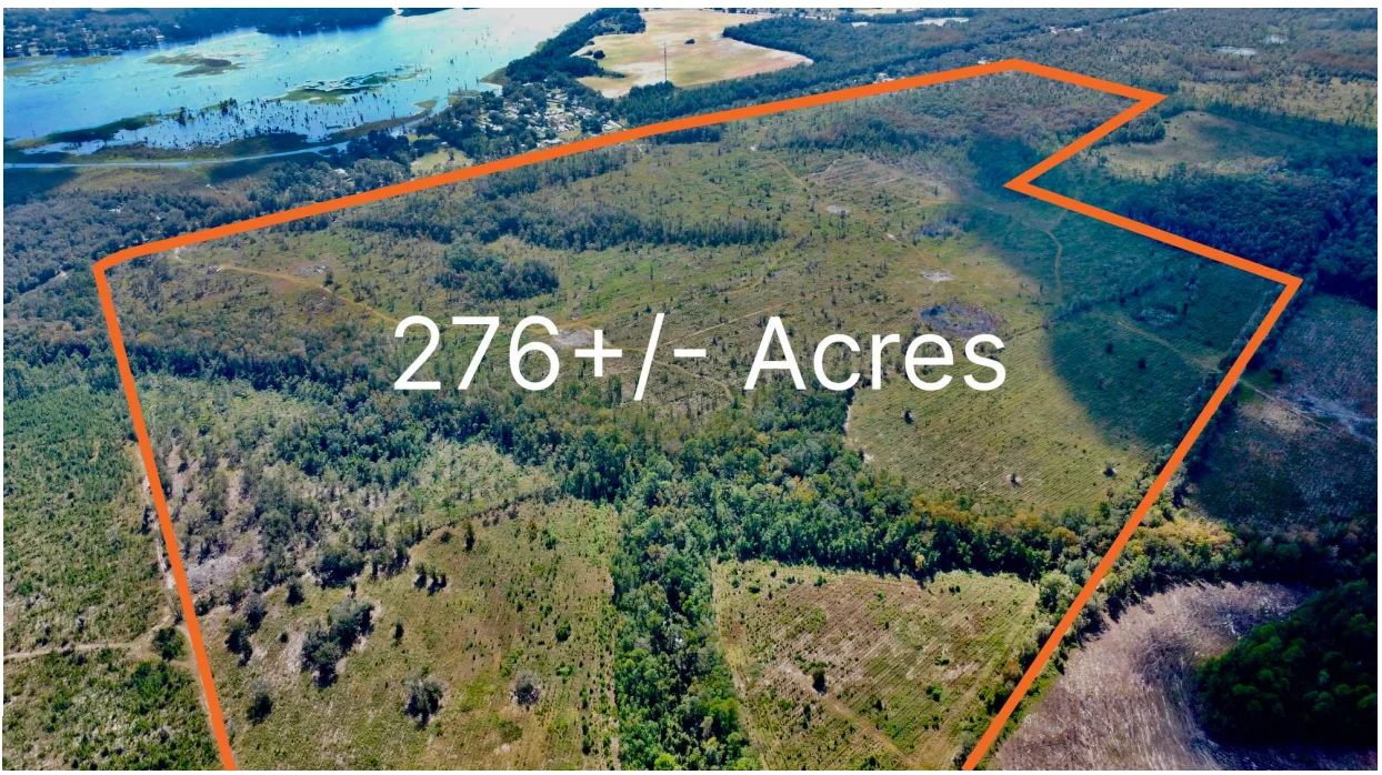 276+/- Acres Dunnellon